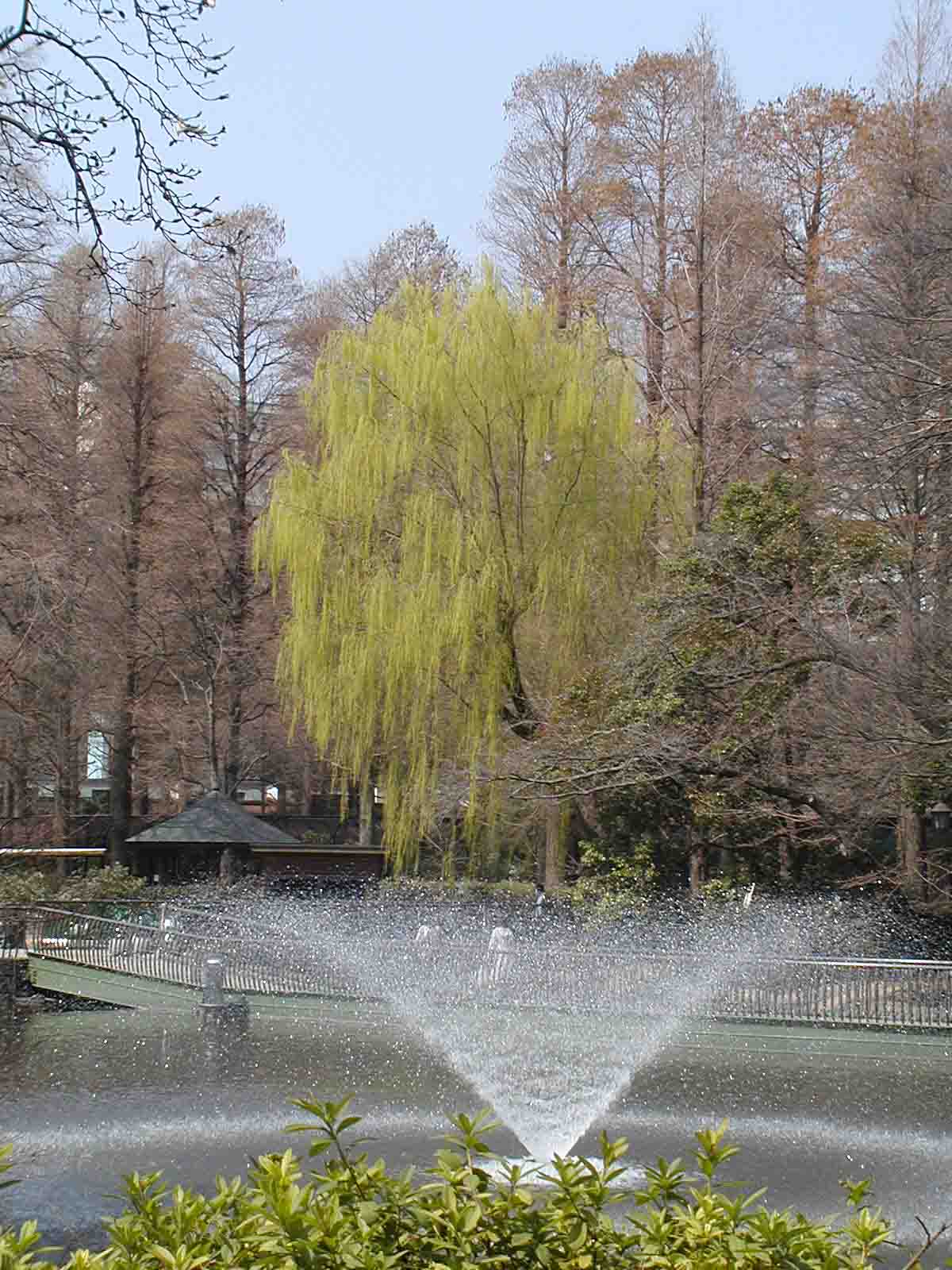 Tokyo photo 6